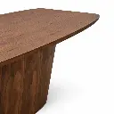 sañvador zoom.webp