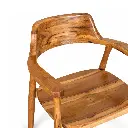 silla portugal zoom.webp