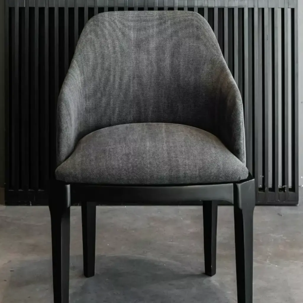 SILLON PINTO